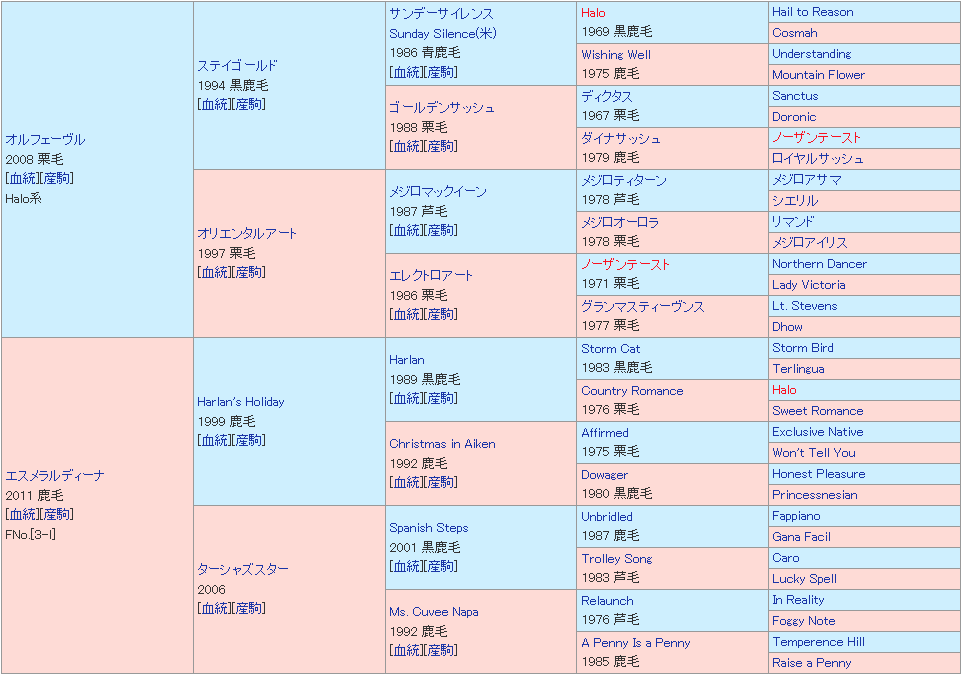 シルク2023募集馬1