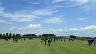 募集馬見学ツアー