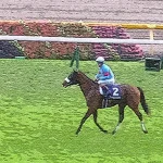 一口馬主ブログ「ひとくち放牧。」のアイキャッチ画像