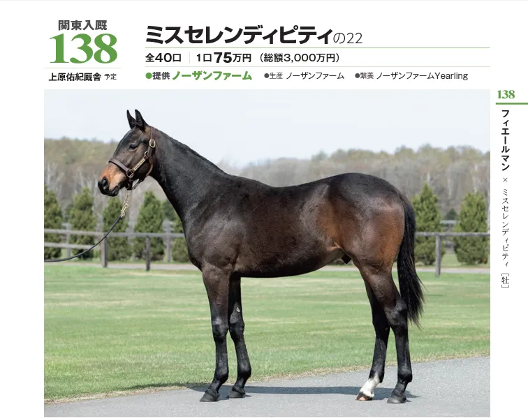 第1希望 138 ミスセレンディピティの22(サンデー・社台サラブレッドクラブ2023年募集馬)