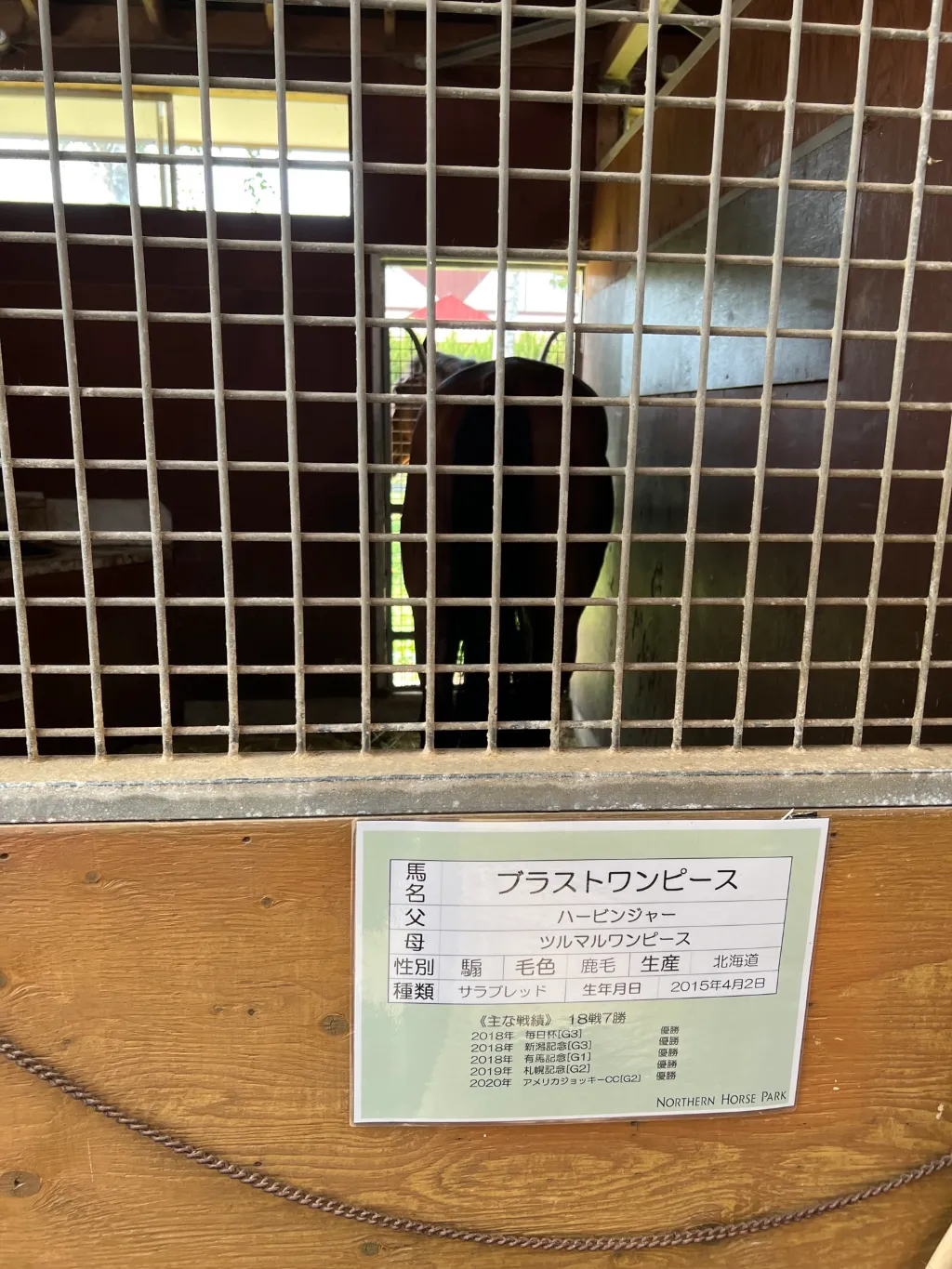 ツアー全体の流れ