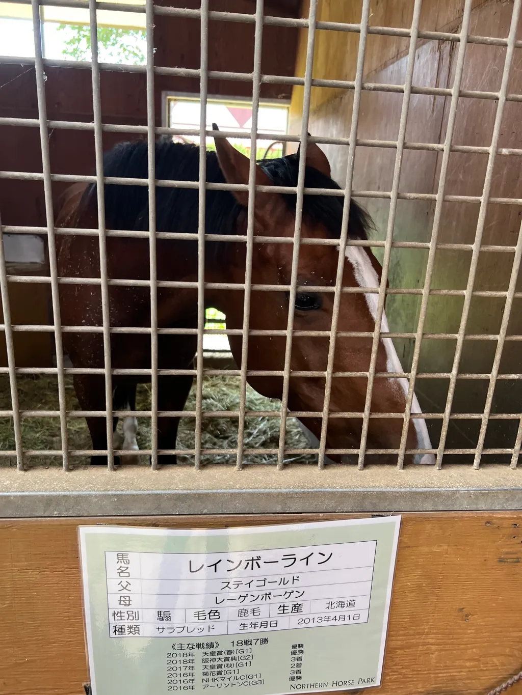ツアー全体の流れ