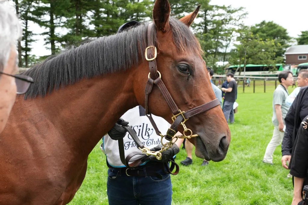 アーモンドアイの25の馬体(シルクホースクラブ2026年募集馬)