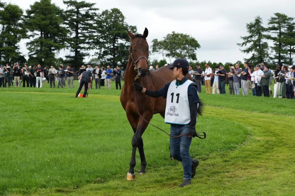 ラヴユーライヴの25の馬体(シルクホースクラブ2026年募集馬)