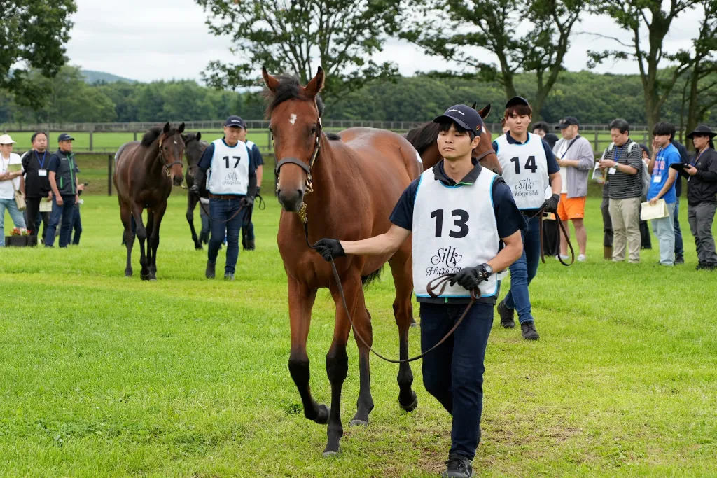 モーベットの25の馬体(シルクホースクラブ2026年募集馬)
