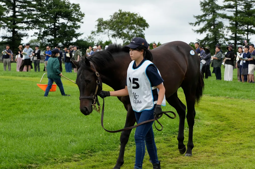 ビオグラフィーの25の馬体(シルクホースクラブ2026年募集馬)