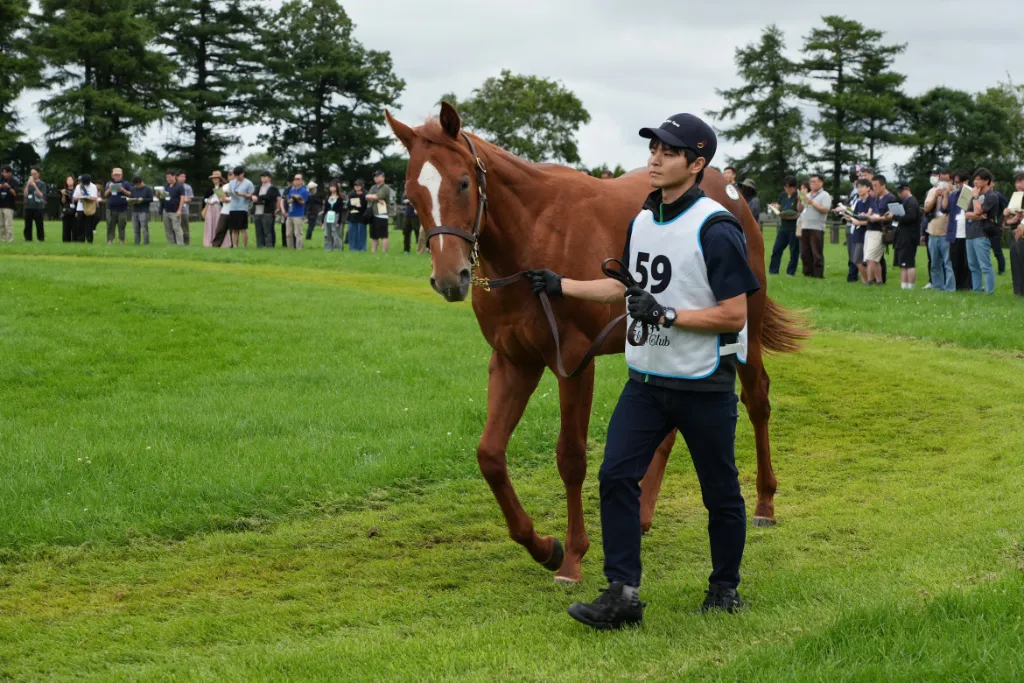 ステップオブダンスの25の馬体(シルクホースクラブ2026年募集馬)