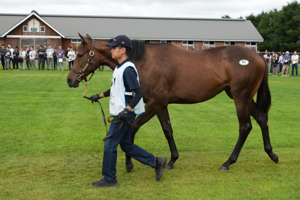 メジロマリアンの25の馬体(シルクホースクラブ2026年募集馬)