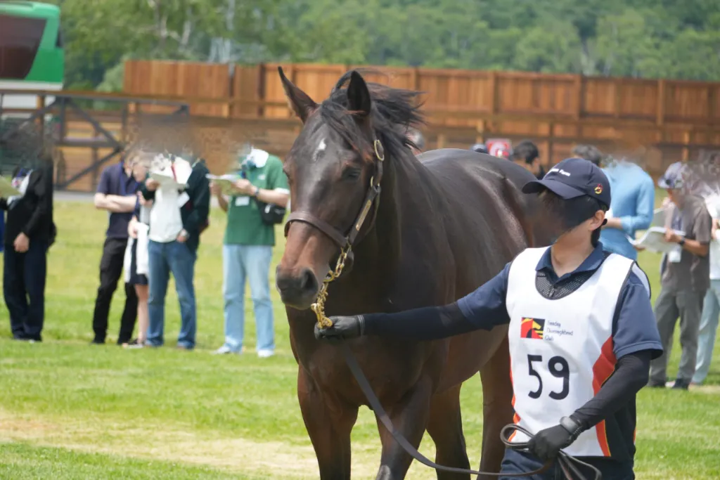 No.59 リリーノーブルの25の馬体(サンデーサラブレッドクラブ2026年募集馬)
